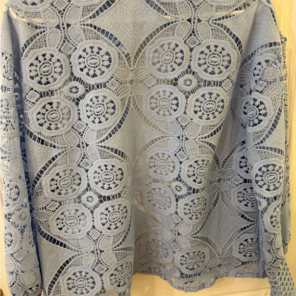 Chic Blue Lace Women Shorts - Picture 3 of 6